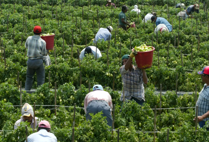 enhanced_agriculture_workers