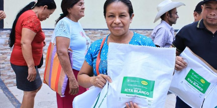 Nueva-variedad-de-sorgo-ICTA-Blanco Autoridades del MAGA e ICTA junto a productores agrícolas durante la liberación oficial de la nueva variedad de sorgo ICTA Blanco en Estanzuela, Zacapa.