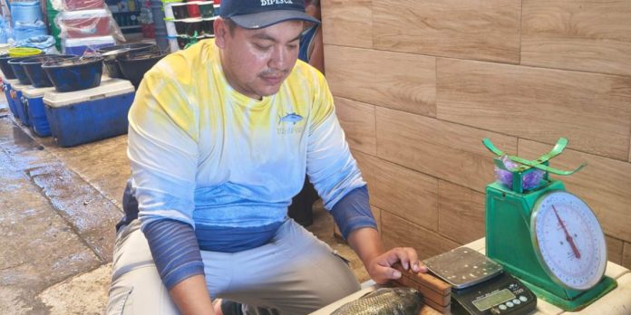Pesquera Técnicos de la DIPESCA y pescadores artesanales recolectando y clasificando especímenes durante el séptimo monitoreo pesquero.